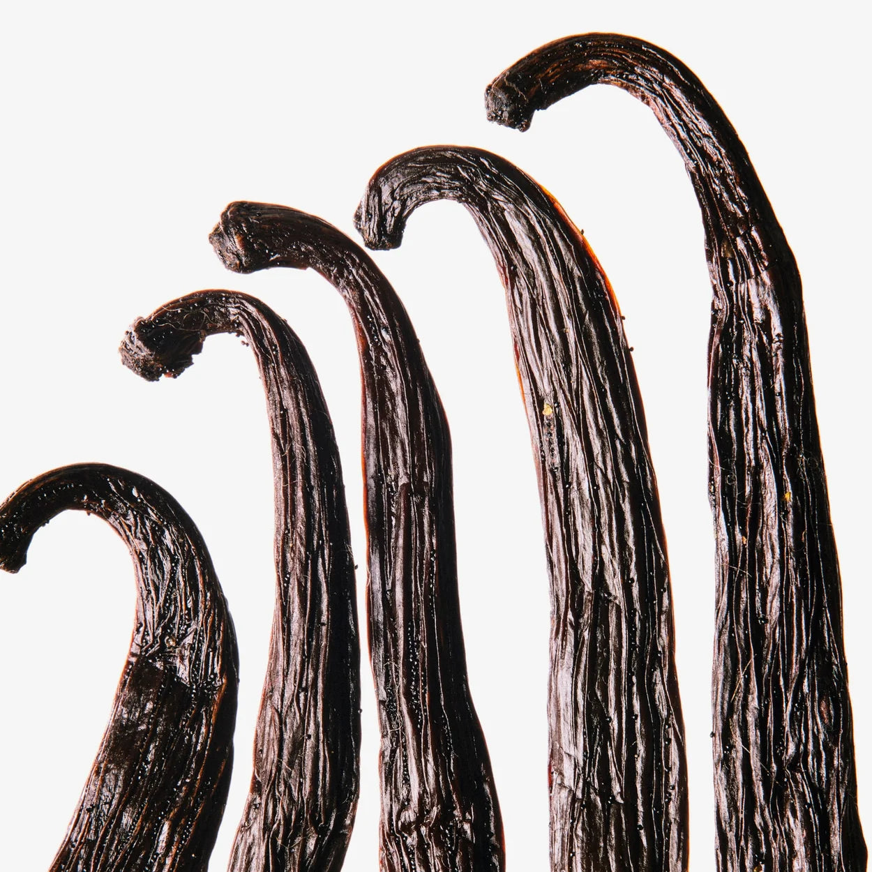 ROYAL ROSE 100ML FEMME